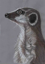 Original Colour pencil artwork