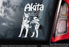 Japanese Akita - Car Window