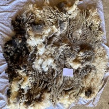 Whole, raw Jacob sheep fleece for spinning or felting, shorn 22/5/25