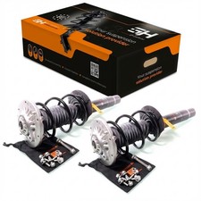 2x Gas Complete Struts