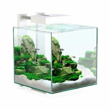 Ciano Shrimp Aquarium Tank