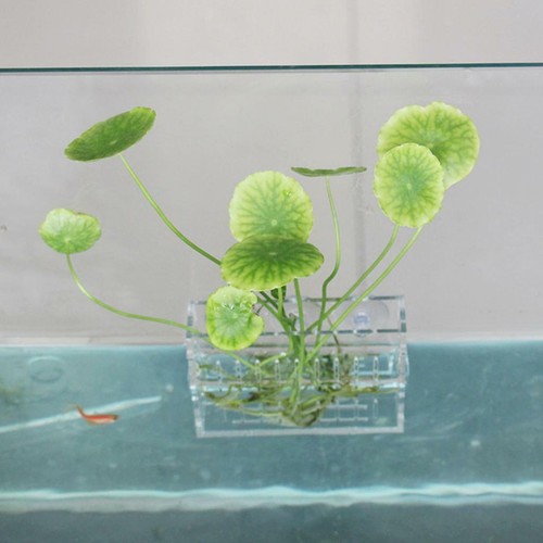 Acrylic wall hanging - hanging, vase