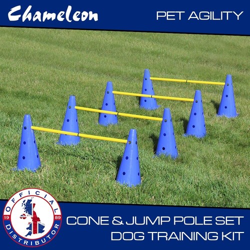 Dog pet agility - agility, training
