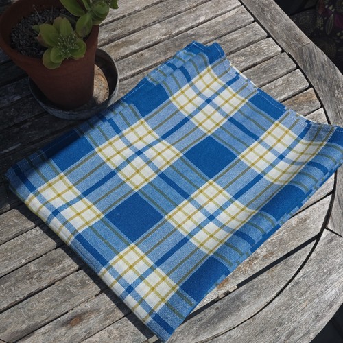 Vintage blue check tablecloth - blue,
