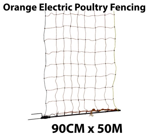 Electric fence poultry chicken - poultry,