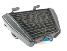 Ducati 1098 S [2007] - Oil