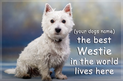 Personalised westie west - personalised,