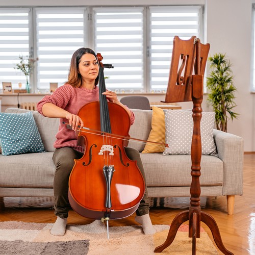 Spruce panel cello - spruce,