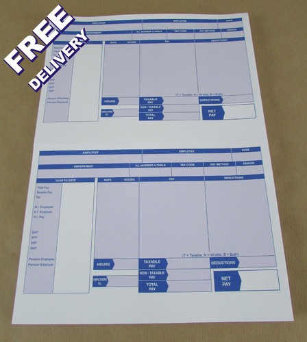 500 iris compatible payslips - iris,