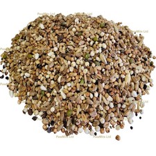 PIGEON CONDITIONER - (350g to 20kg) - Aniseed Aroma Trapping Bird Food Seed Mix
