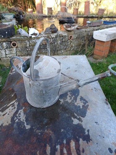 Nice gallon vintage - nice,