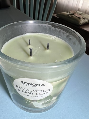 Sonoma eucalyptus mint - sonoma, 14