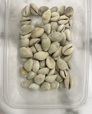 5pcs Nigeria Original Natural