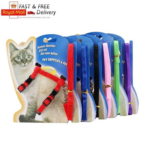 Cats ferrets pets - pets, adjustable