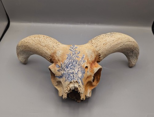 Floral ram skull bones - floral,