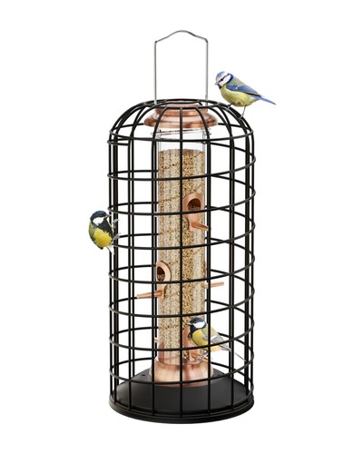 Iborn squirrel proof bird - proof,