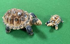 Wade Porcelain Tortoise