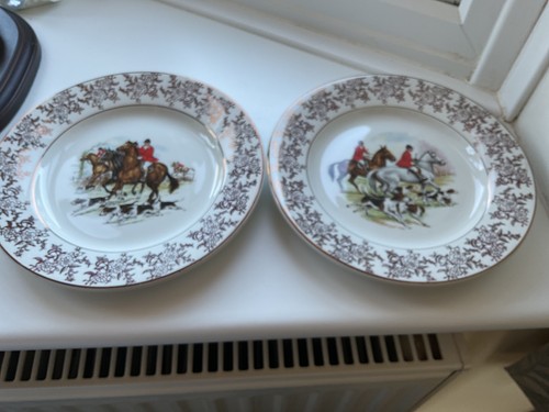 Royal falcon ironstone plates - royal,