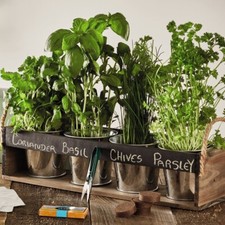 Chalk Board Herb Garden Gift