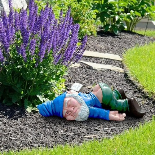 Funny drunk dwarf - drunk, garden