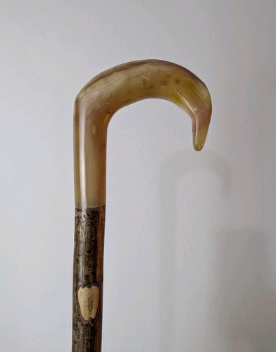 Shepherds crook rams horn - shepherds,