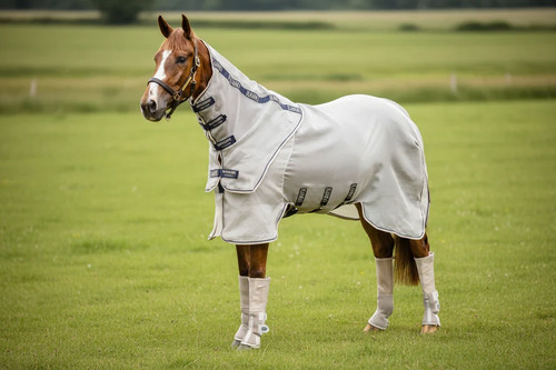Horseware rambo protector - horseware,