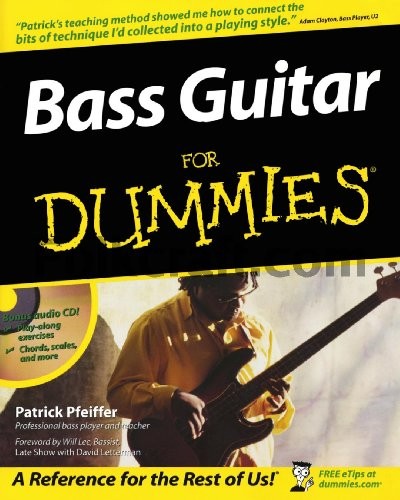 Bass guitar for - bass,