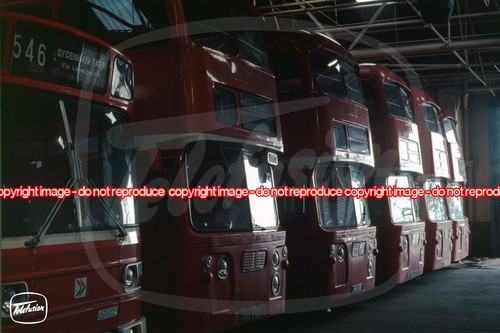 Bus photo midland red nbc - bus,