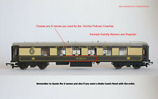 HORNBY PULLMAN 00 COACHES 6 x  NAMES VYNIL RENDER KIT. Full Panel colour crests.