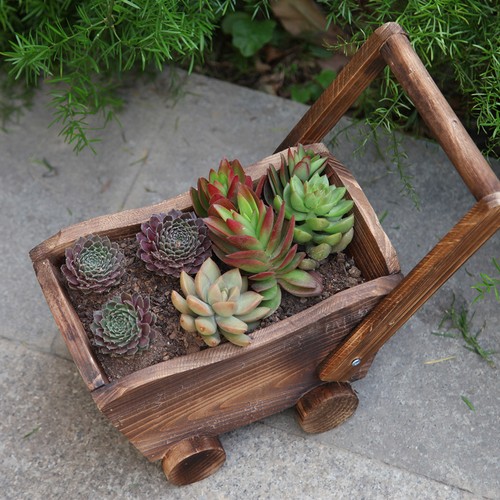 Modern wooden garden - modern,