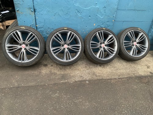 Jaguar matavia staggered - , 20"