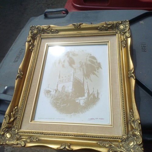 Baroque ornate picture frame - ornate,