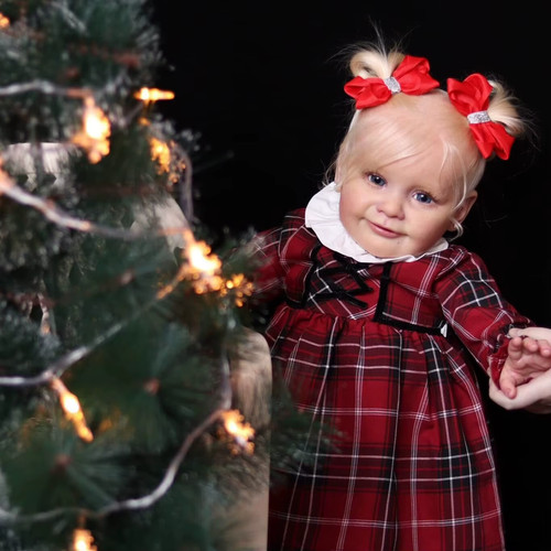 Inch reborn toddler girl - 24,