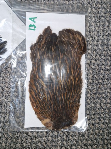 Hen cape fly tying - cape,fly,