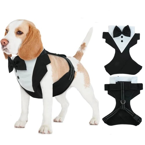 Dog tuxedo harness - bow, tie