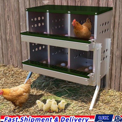 6compartment chicken nest - 6compartment, box