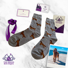 IRISH SETTER SOCKS UNISEX ONE SIZE FIT ADULT UK 5 - 11 EU 38 - 46 RED SETTER