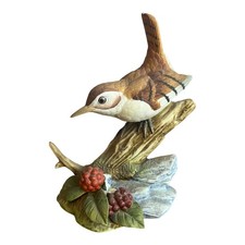 Carolina Wren Bird Perched on