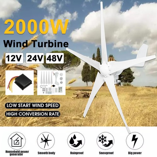 2000w 12v 24v 48v - 2000w, turbine