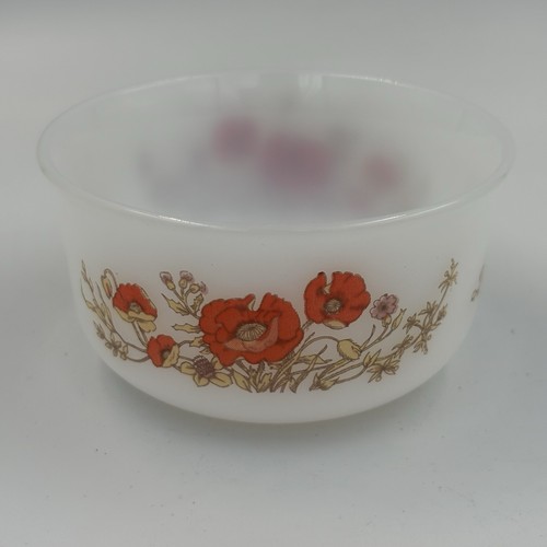 Vintage arcopal france - arcopal,