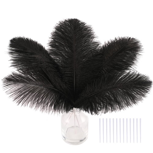 Black craft ostrich feathers - craft,