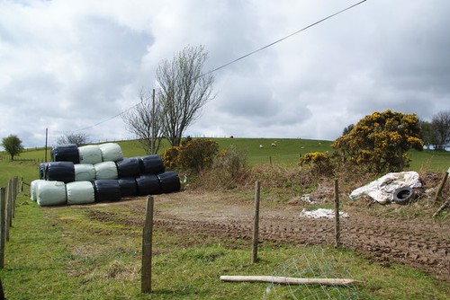 Photo pile of silage - a,