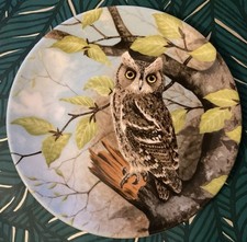 Gorgeous Coalport Fine Bone China Scops Owl LE Plate By Michael B Sawdy🦉