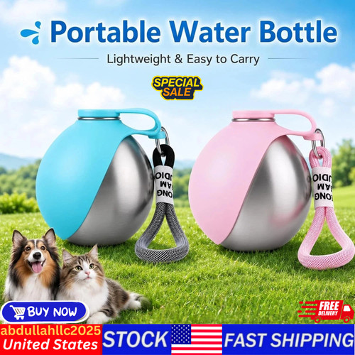 New portable dog - 2,