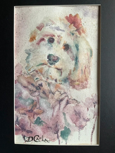 Cockapoo labradoodle original - cockapoo,