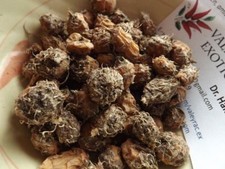 African Super Tigernut - Chufa