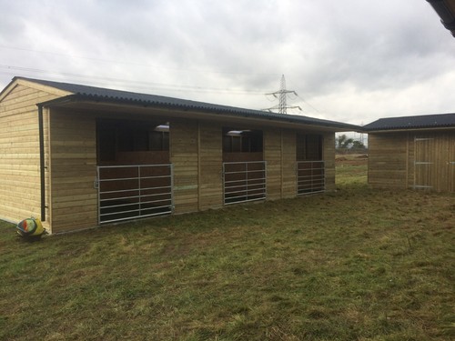 Large field shelter 36 - field, 36'