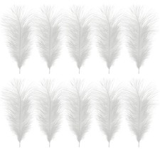Natural Ostrich Feathers
