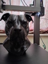 STAFFORDSHIRE BULL TERRIER