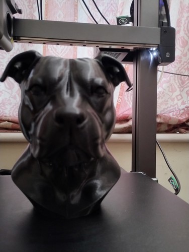 Staffordshire bull terrier - staffordshire,